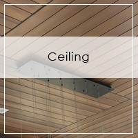 Custom Ceilings